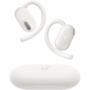 Soundcore V20i