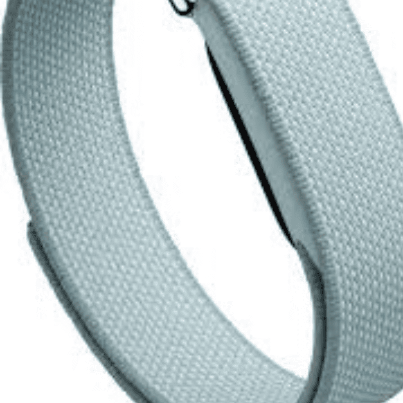Google Fitbit Air